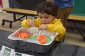 Amityville_NE_Sensory_Bash6-5